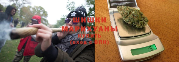 Альфа ПВП Аркадак
