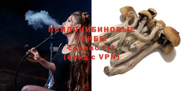 mdpv Армянск