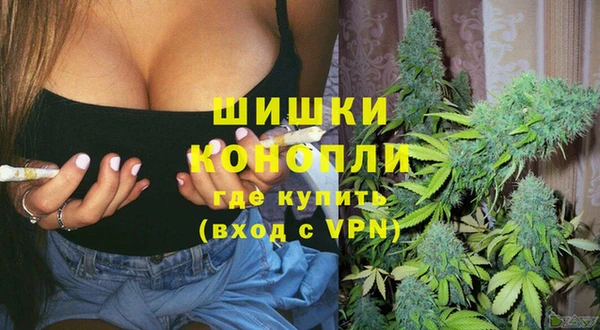 Альфа ПВП Аркадак