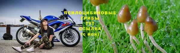 соль ск Арсеньев